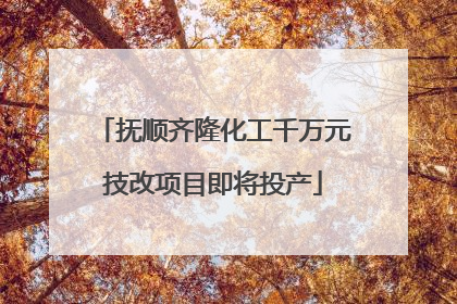 抚顺齐隆化工千万元技改项目即将投产