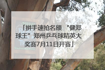 拼手速抢名额 “健郑球王”郑州乒乓球精英大奖赛7月11日开赛