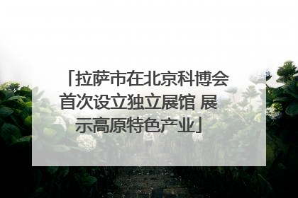 拉萨市在北京科博会首次设立独立展馆 展示高原特色产业