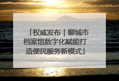 权威发布｜聊城市档案馆数字化赋能打造便民服务新模式