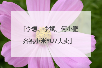 李想、李斌、何小鹏齐祝小米YU7大卖