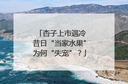 杏子上市遇冷 昔日“当家水果”为何“失宠”？