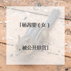 杨茜雯（女），被公开悬赏