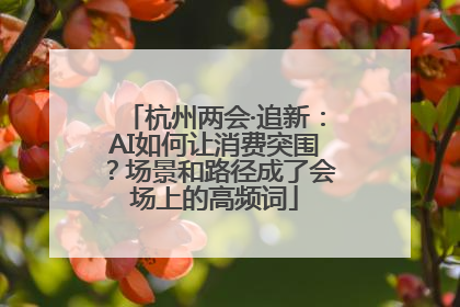 杭州两会·追新：AI如何让消费突围？场景和路径成了会场上的高频词