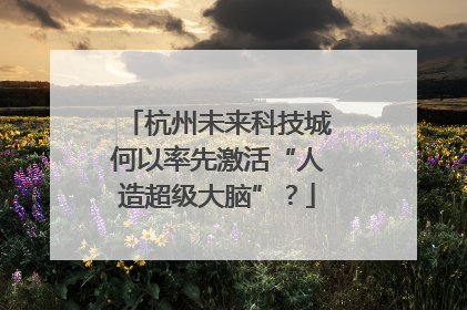 杭州未来科技城何以率先激活“人造超级大脑”？