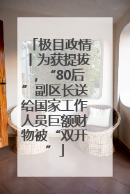 极目政情丨为获提拔，“80后”副区长送给国家工作人员巨额财物被“双开”