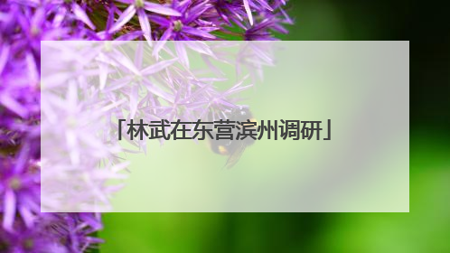 林武在东营滨州调研
