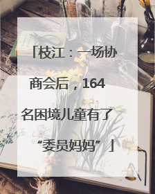 枝江：一场协商会后，164名困境儿童有了“委员妈妈”