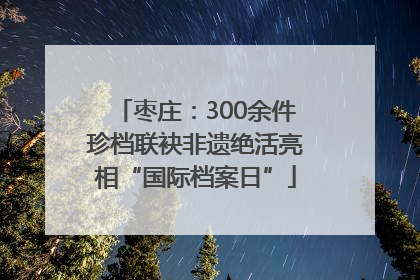 枣庄：300余件珍档联袂非遗绝活亮相“国际档案日”