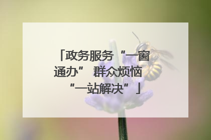 政务服务“一窗通办” 群众烦恼“一站解决”