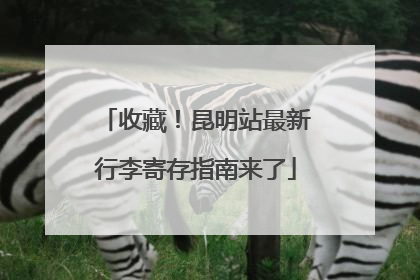 收藏！昆明站最新行李寄存指南来了