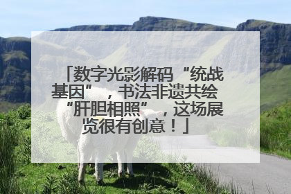 数字光影解码“统战基因”，书法非遗共绘“肝胆相照”，这场展览很有创意！