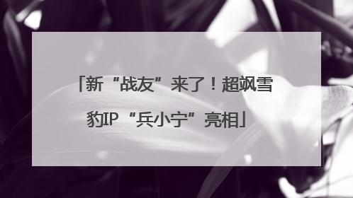 新“战友”来了！超飒雪豹IP“兵小宁”亮相