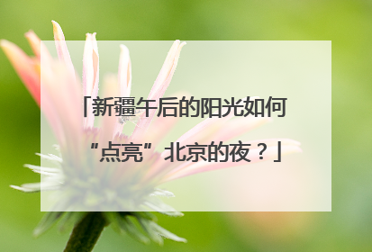 新疆午后的阳光如何“点亮”北京的夜？