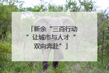 新余“三百行动”让城市与人才“双向奔赴”