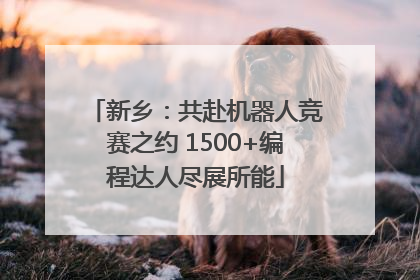 新乡：共赴机器人竞赛之约 1500+编程达人尽展所能