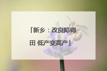 新乡：改良障碍田 低产变高产