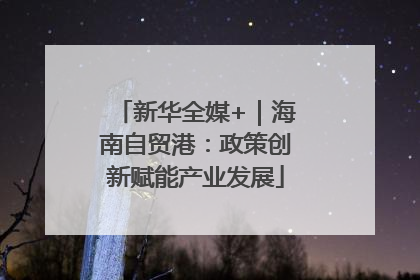 新华全媒+｜海南自贸港：政策创新赋能产业发展