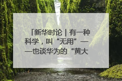 新华时论｜有一种科学，叫“无用”——也谈华为的“黄大年茶思屋”