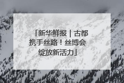 新华鲜报｜古都携手丝路！丝博会绽放新活力