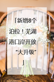新增8个泊位！芜湖港口岸开放“大升级”