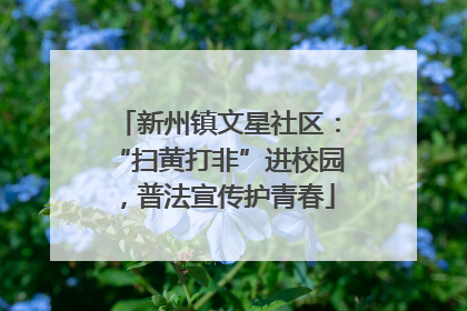 新州镇文星社区：“扫黄打非”进校园，普法宣传护青春