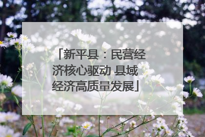 新平县：民营经济核心驱动 县域经济高质量发展