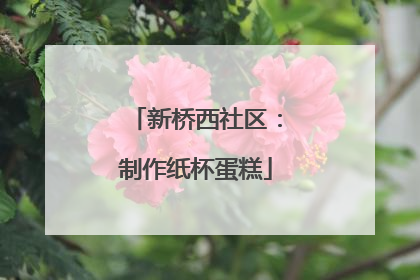 新桥西社区：制作纸杯蛋糕