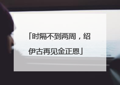 时隔不到两周，绍伊古再见金正恩