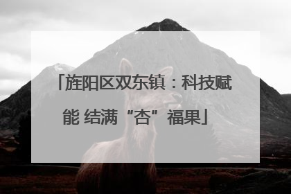 旌阳区双东镇：科技赋能 结满“杏”福果