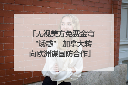 无视美方免费金穹“诱惑” 加拿大转向欧洲谋国防合作
