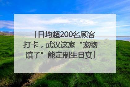 日均超200名顾客打卡，武汉这家“宠物馆子”能定制生日宴