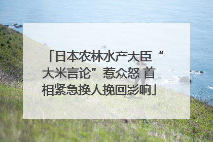 日本农林水产大臣“大米言论”惹众怒 首相紧急换人挽回影响