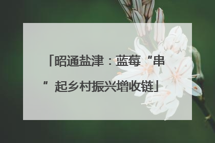 昭通盐津：蓝莓“串”起乡村振兴增收链