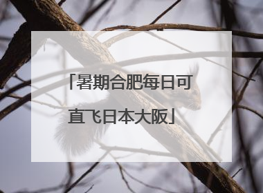 暑期合肥每日可直飞日本大阪