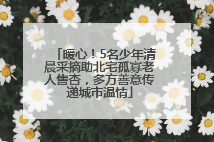 暖心！5名少年清晨采摘助北宅孤寡老人售杏，多方善意传递城市温情