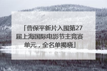 曹保平新片入围第27届上海国际电影节主竞赛单元，全名单揭晓