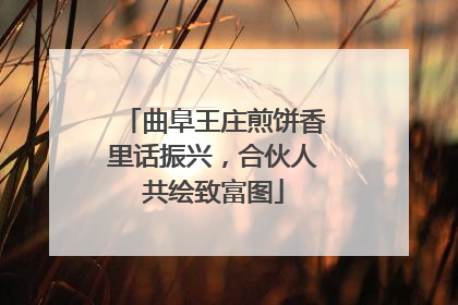 曲阜王庄煎饼香里话振兴，合伙人共绘致富图
