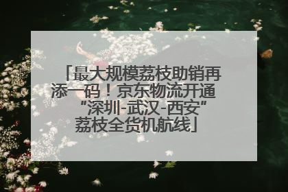 最大规模荔枝助销再添一码！京东物流开通“深圳-武汉-西安” 荔枝全货机航线