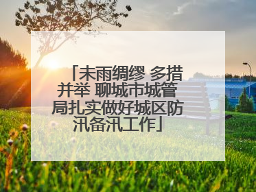 未雨绸缪 多措并举 聊城市城管局扎实做好城区防汛备汛工作