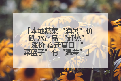 本地蔬菜“消暑”价跌 水产品 “赶热” 涨价 宿迁夏日 “菜篮子”有“温差”