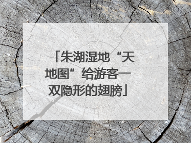 朱湖湿地“天地图”给游客一双隐形的翅膀