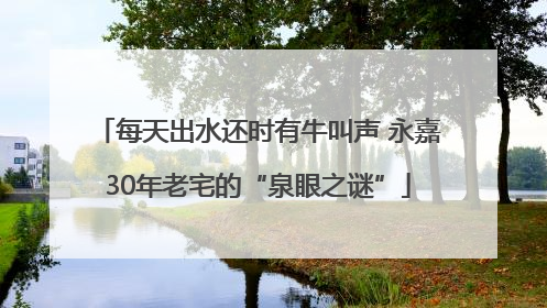 每天出水还时有牛叫声 永嘉30年老宅的“泉眼之谜”