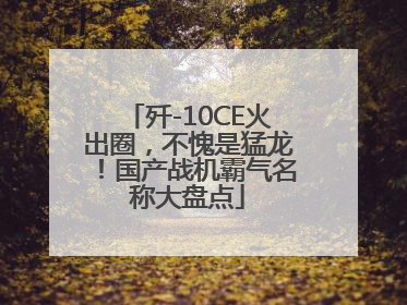歼-10CE火出圈，不愧是猛龙！国产战机霸气名称大盘点
