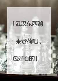 武汉东西湖：来赏荷吧，包好看的