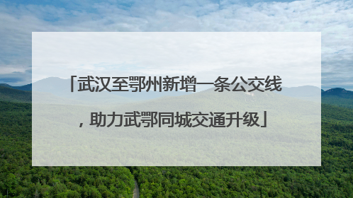 武汉至鄂州新增一条公交线，助力武鄂同城交通升级