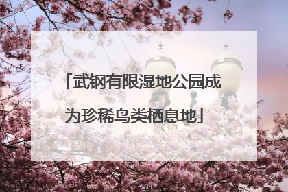 武钢有限湿地公园成为珍稀鸟类栖息地