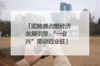 武陵源点燃经济发展引擎 “一业兴”带动百业旺