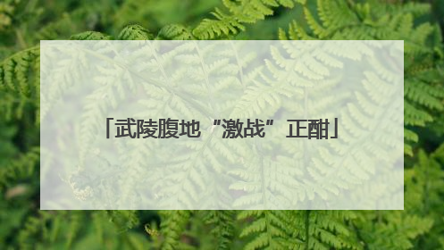 武陵腹地“激战”正酣
