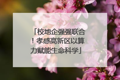 校地企强强联合！孝感高新区以算力赋能生命科学